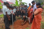 നെല്ലി തൈ വിതരണം നടന്നു 